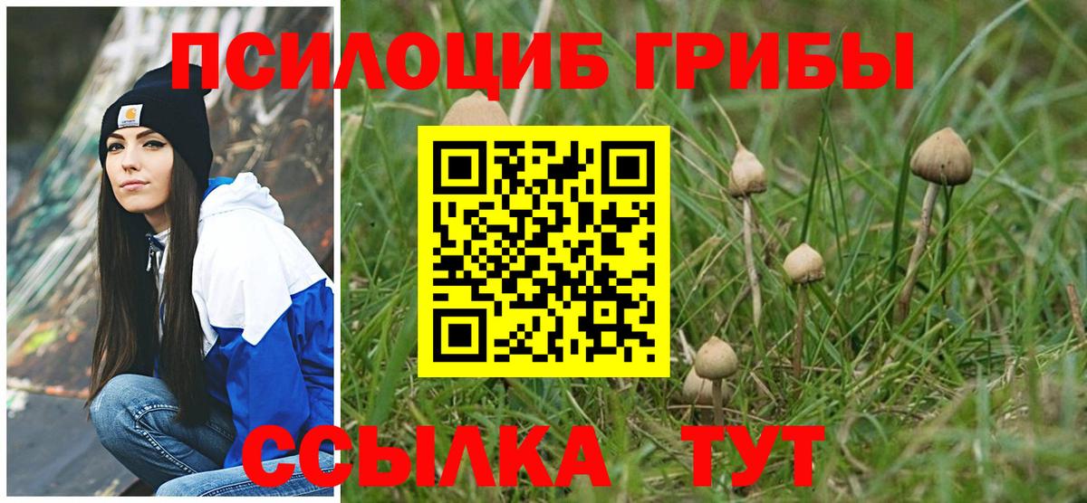 Галлюциногенные грибы мухоморы Маркс